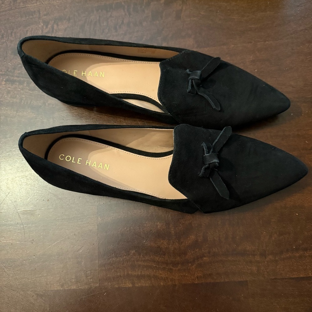 Cole Haan Viola Suede Skimmer Flats 7.5 - Picture 2 of 10